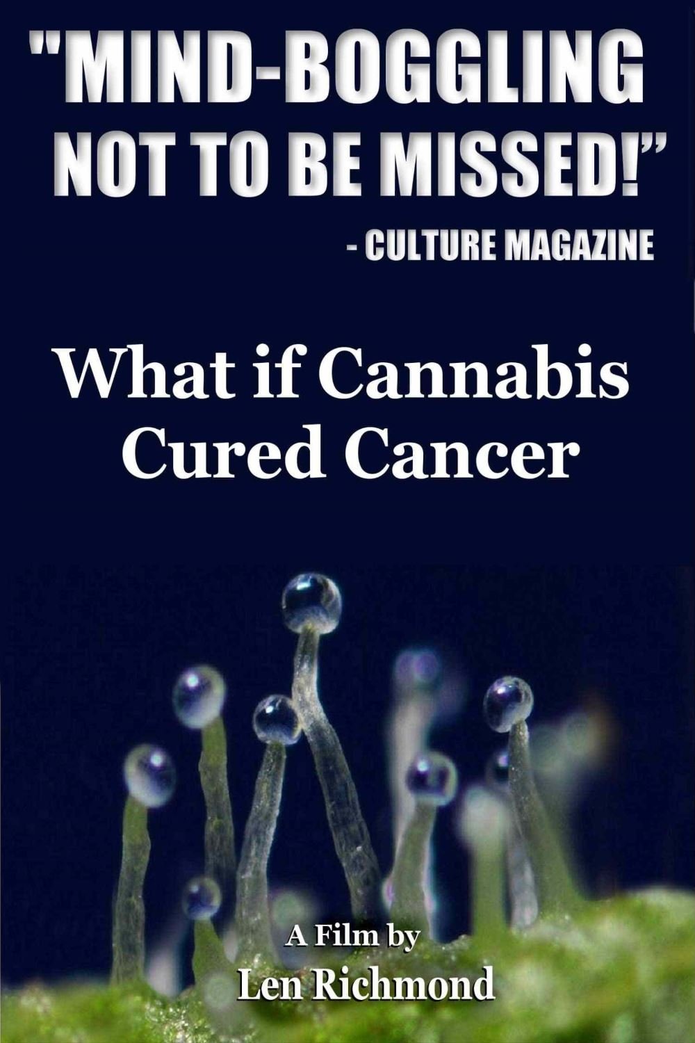 Постер What If Cannabis Cured Cancer